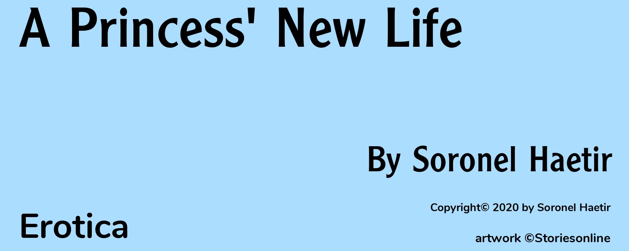 A Princess' New Life - Cover