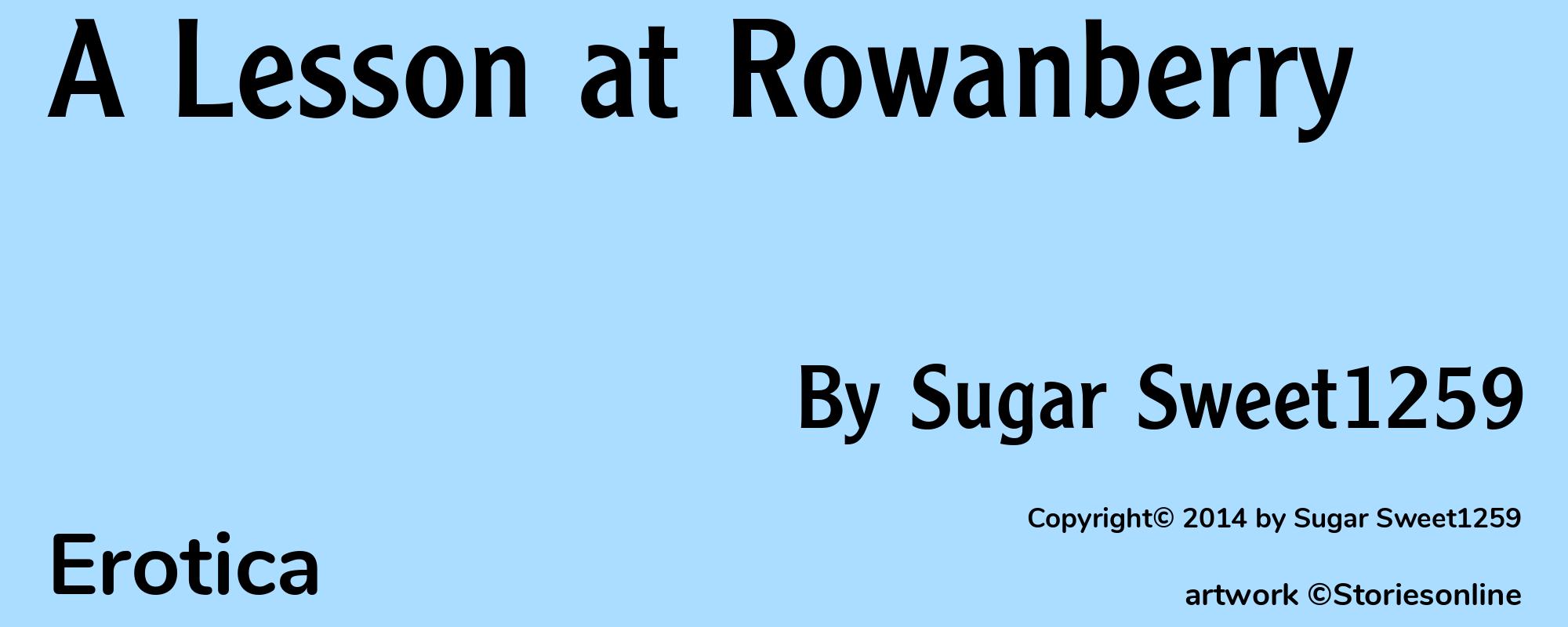 A Lesson at Rowanberry - Cover