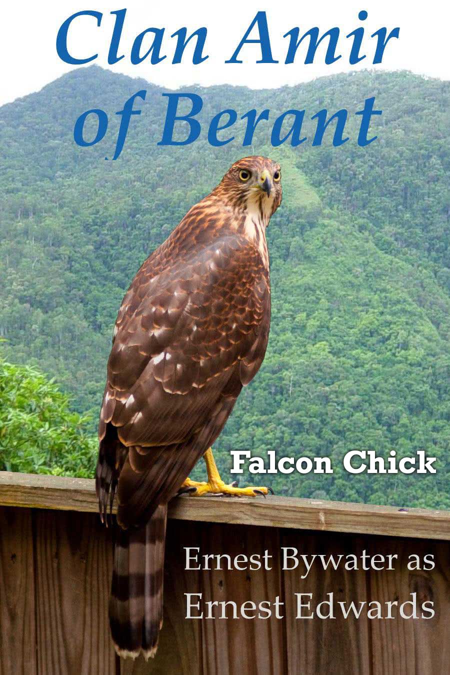 2 - Clan Amir: Falcon Chick - Cover