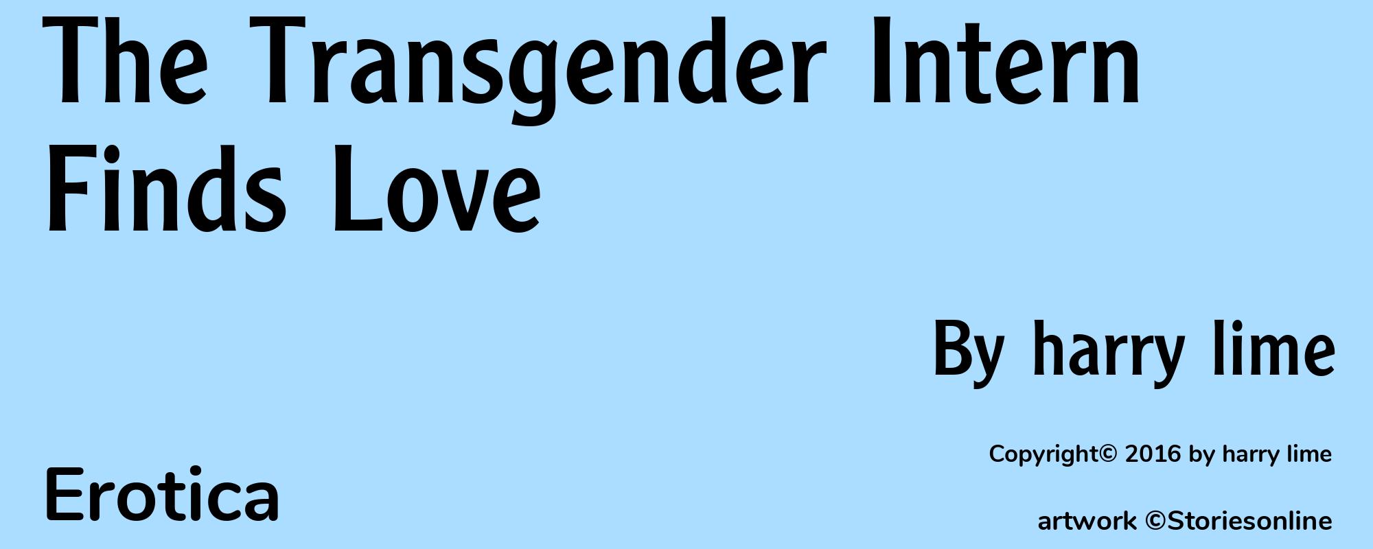 The Transgender Intern Finds Love - Cover