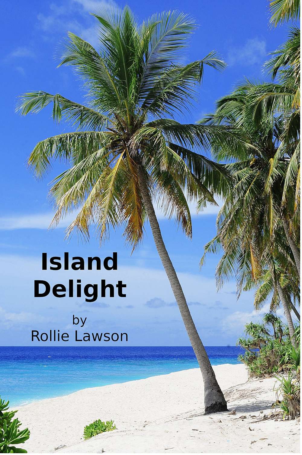 Island Delight - Cover