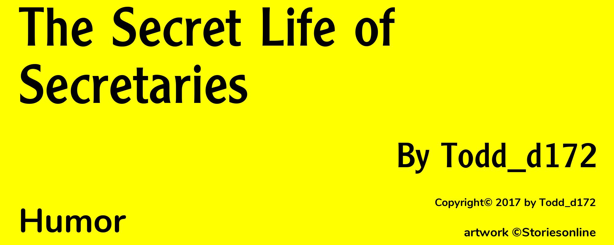 The Secret Life of Secretaries - Cover