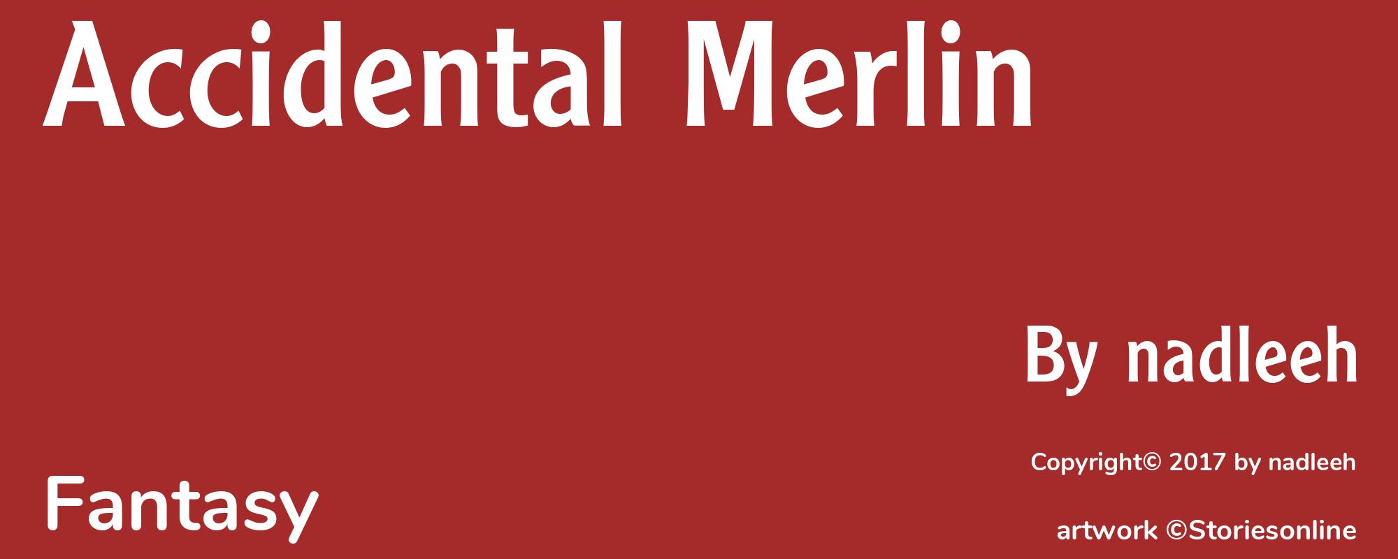 Accidental Merlin - Cover