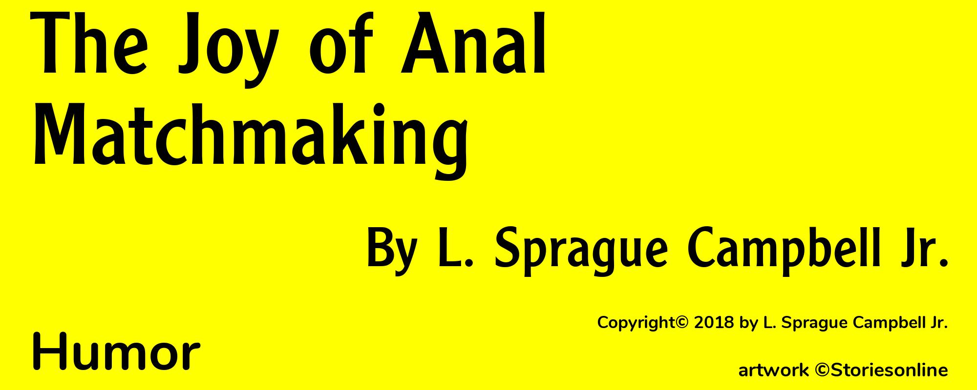 The Joy of Anal Matchmaking - Cover