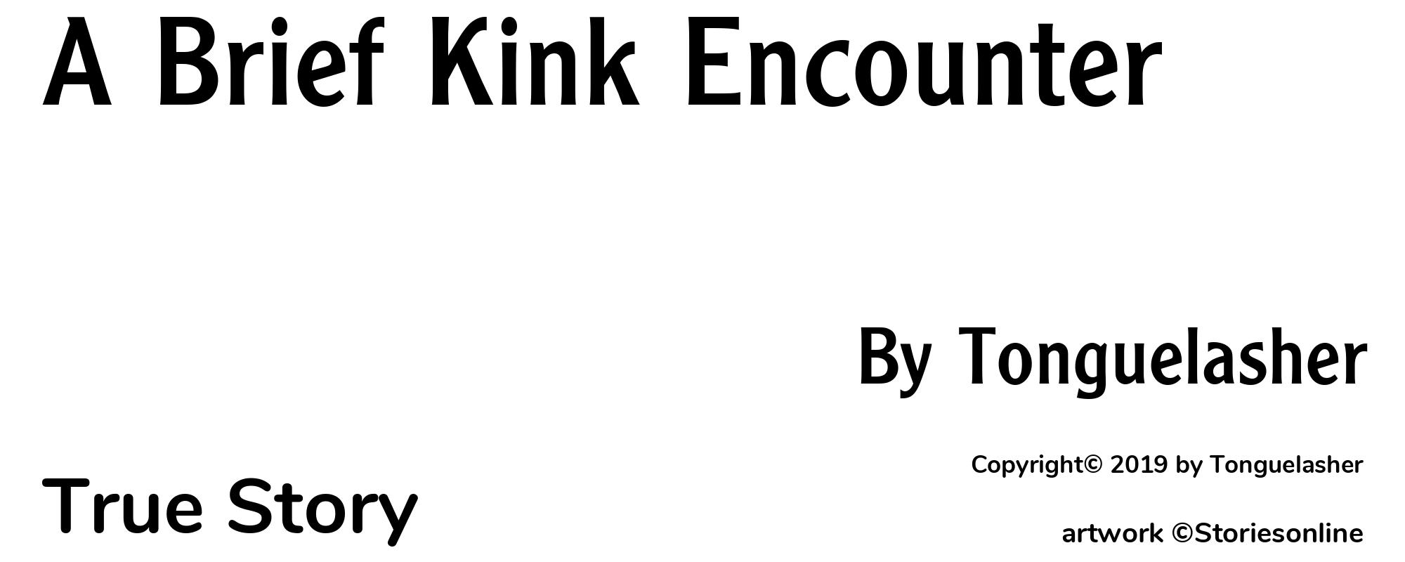 A Brief Kink Encounter - Cover