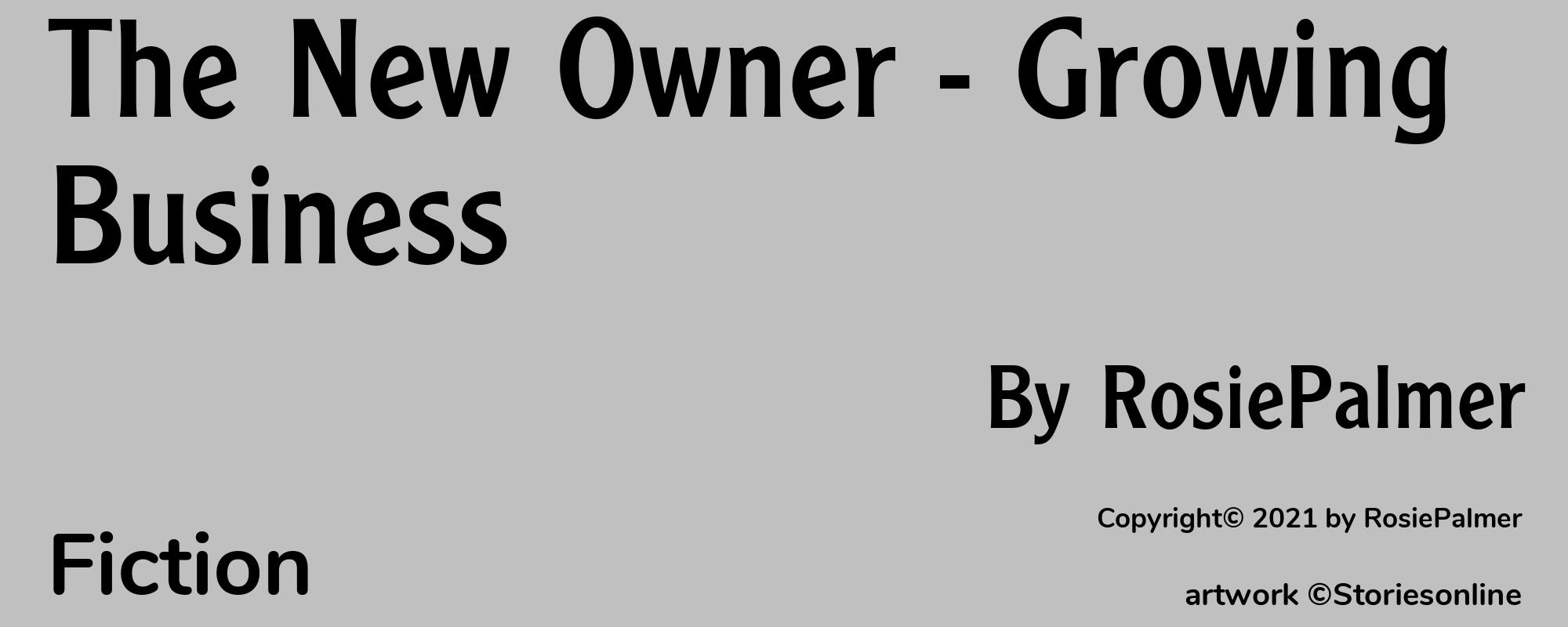 The New Owner - Growing Business - Cover