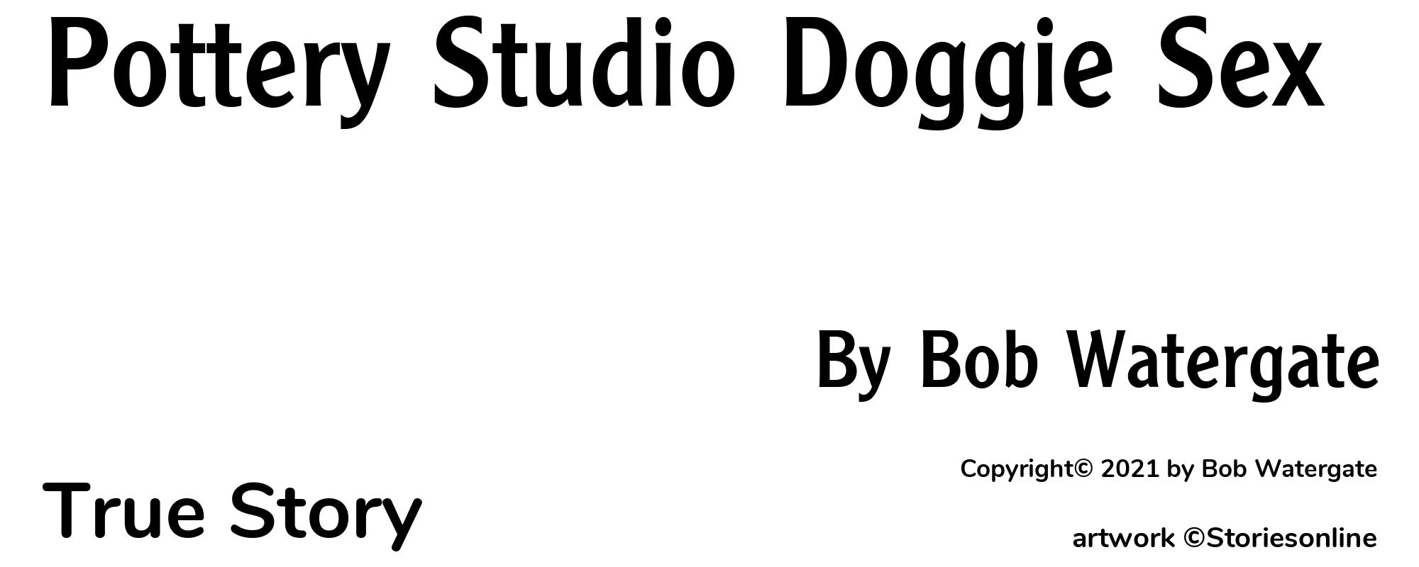 Pottery Studio Doggie Sex - Cover
