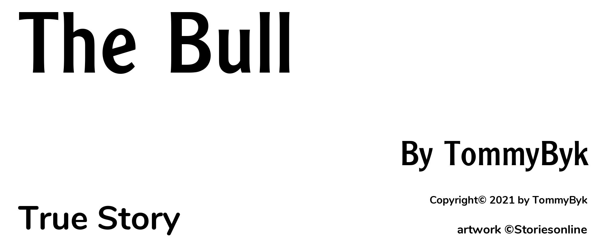 The Bull - Cover