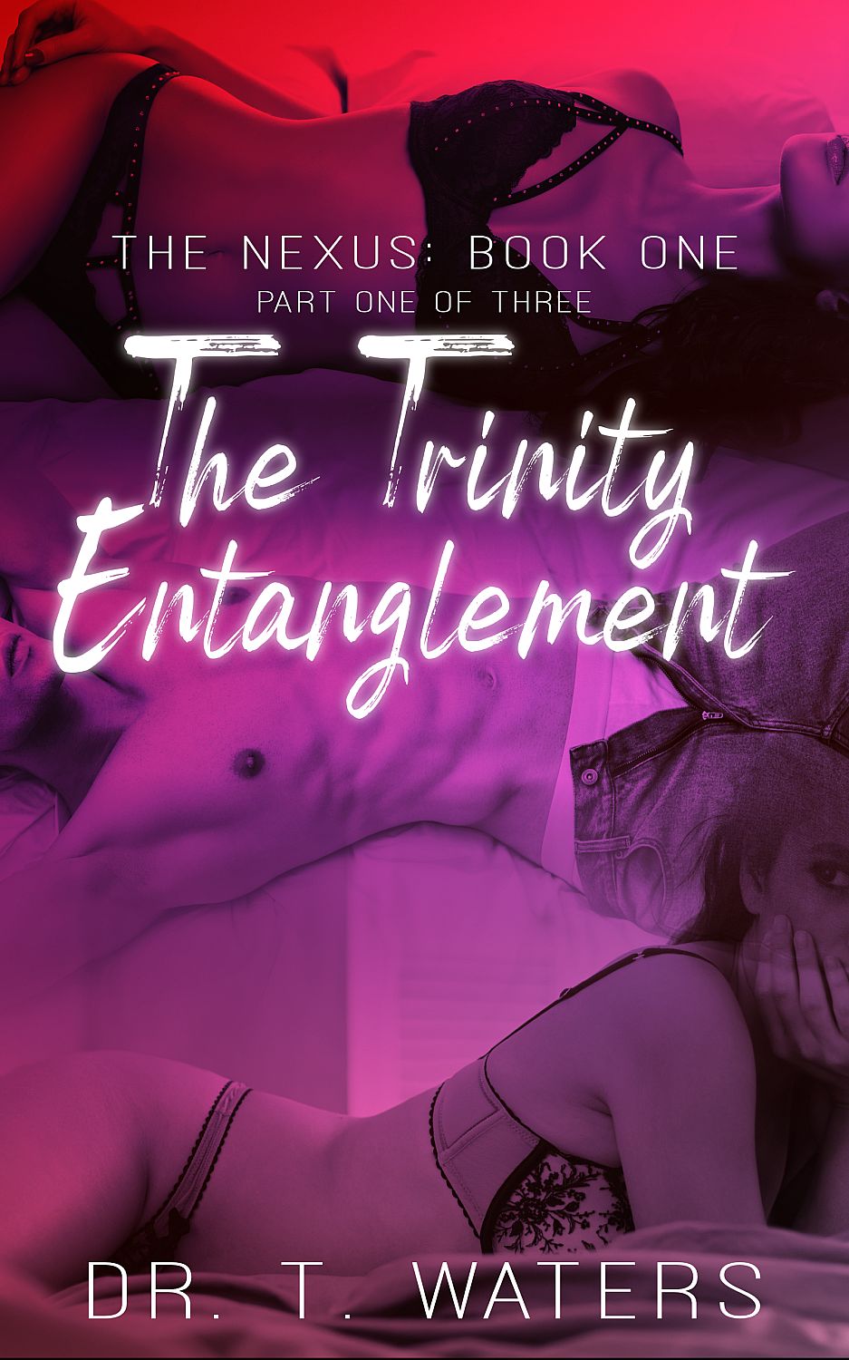 The Nexus - Book 1: the Trinity Entanglement - Cover