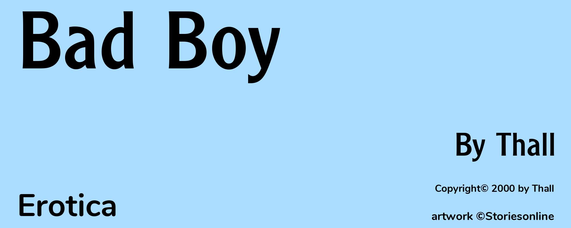 Bad Boy - Cover