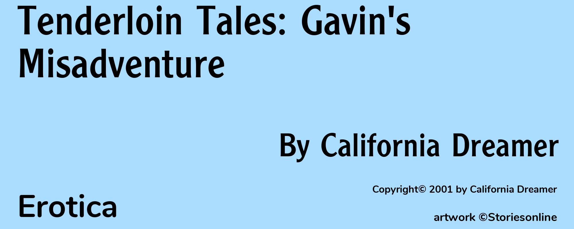 Tenderloin Tales: Gavin's Misadventure - Cover