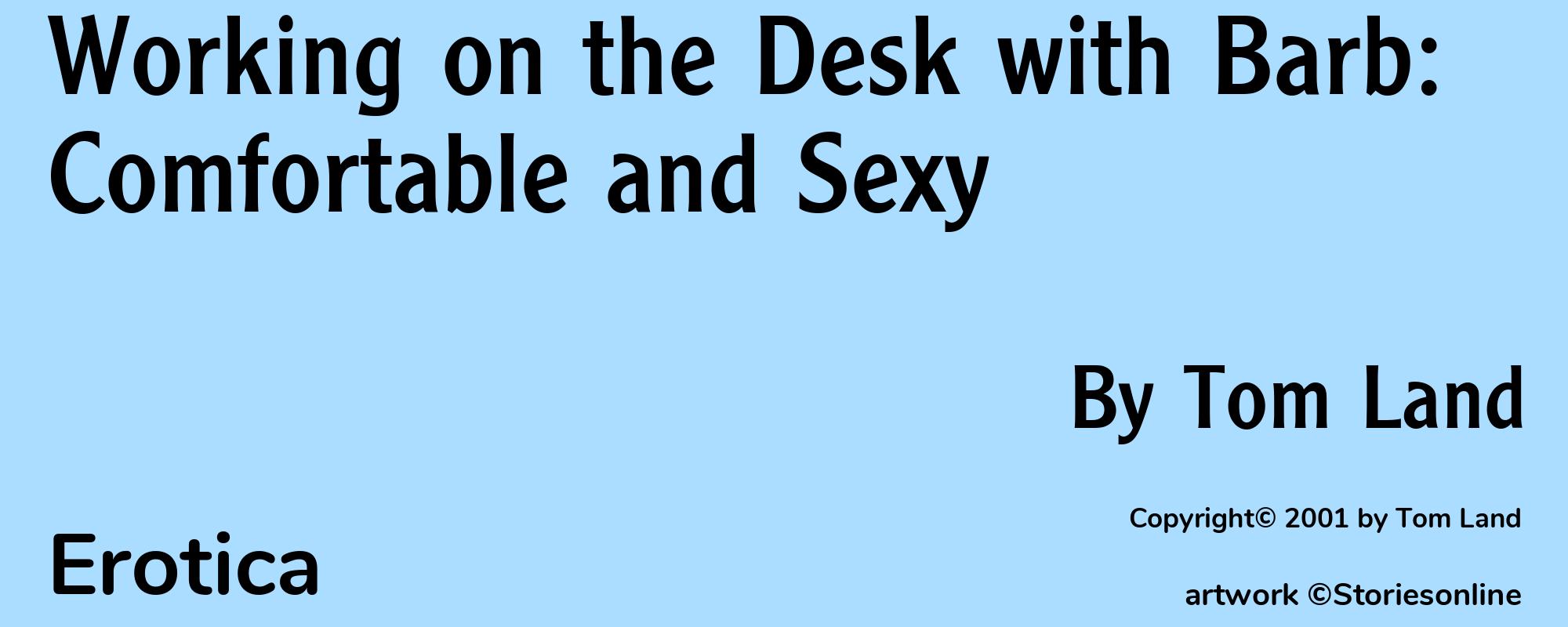 Working on the Desk with Barb: Comfortable and Sexy - Cover