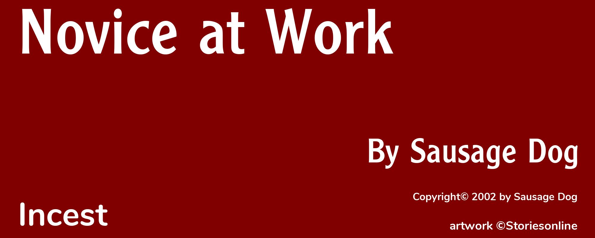 Novice at Work - Cover