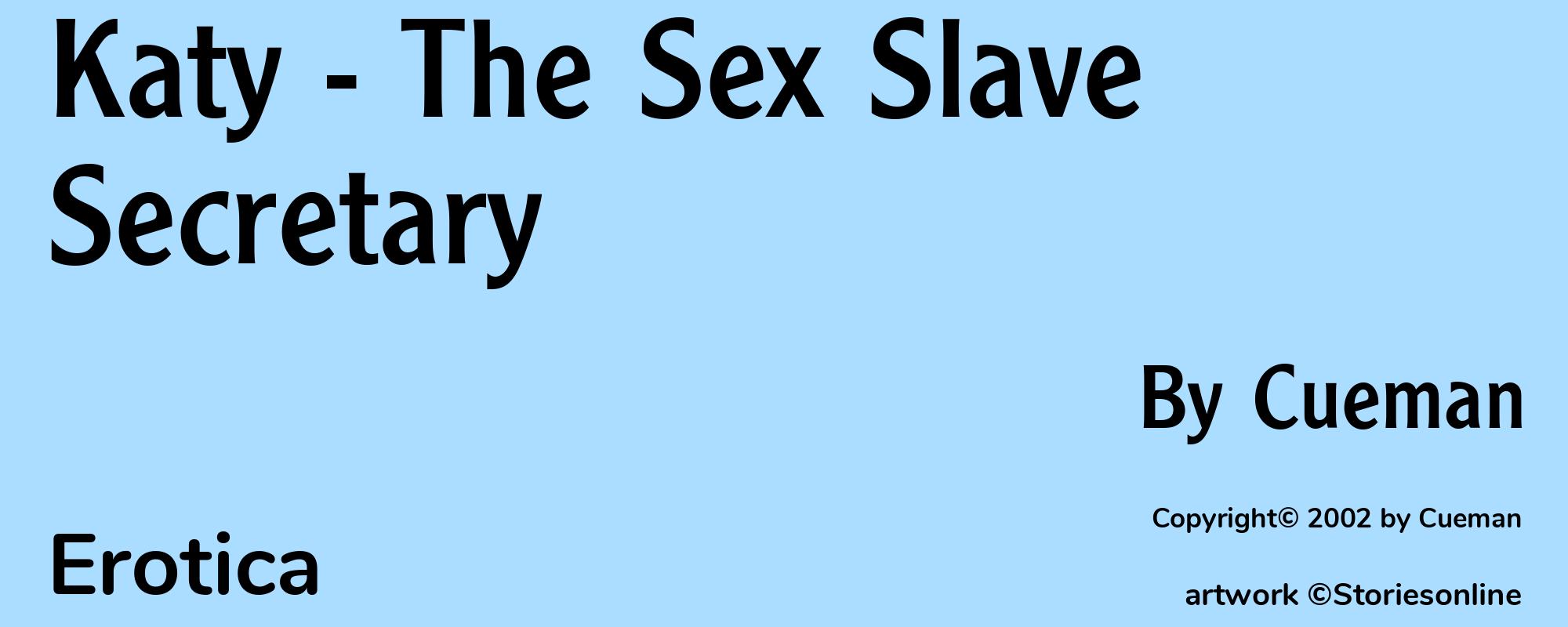 Katy - The Sex Slave Secretary - Cover