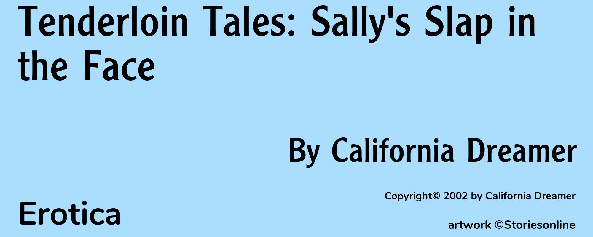Tenderloin Tales: Sally's Slap in the Face - Cover