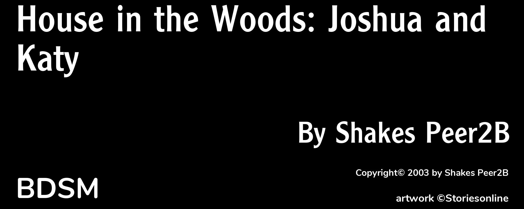 House in the Woods: Joshua and Katy - Cover