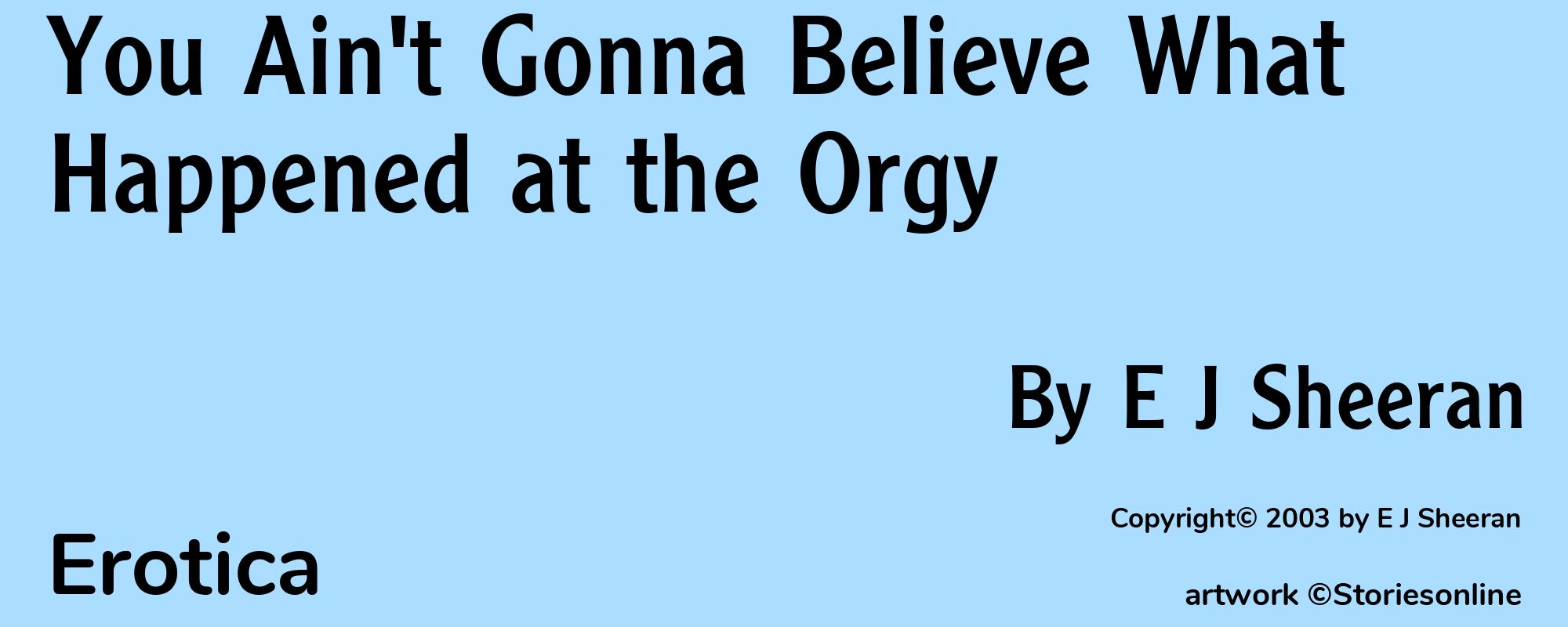 You Ain't Gonna Believe What Happened at the Orgy - Cover