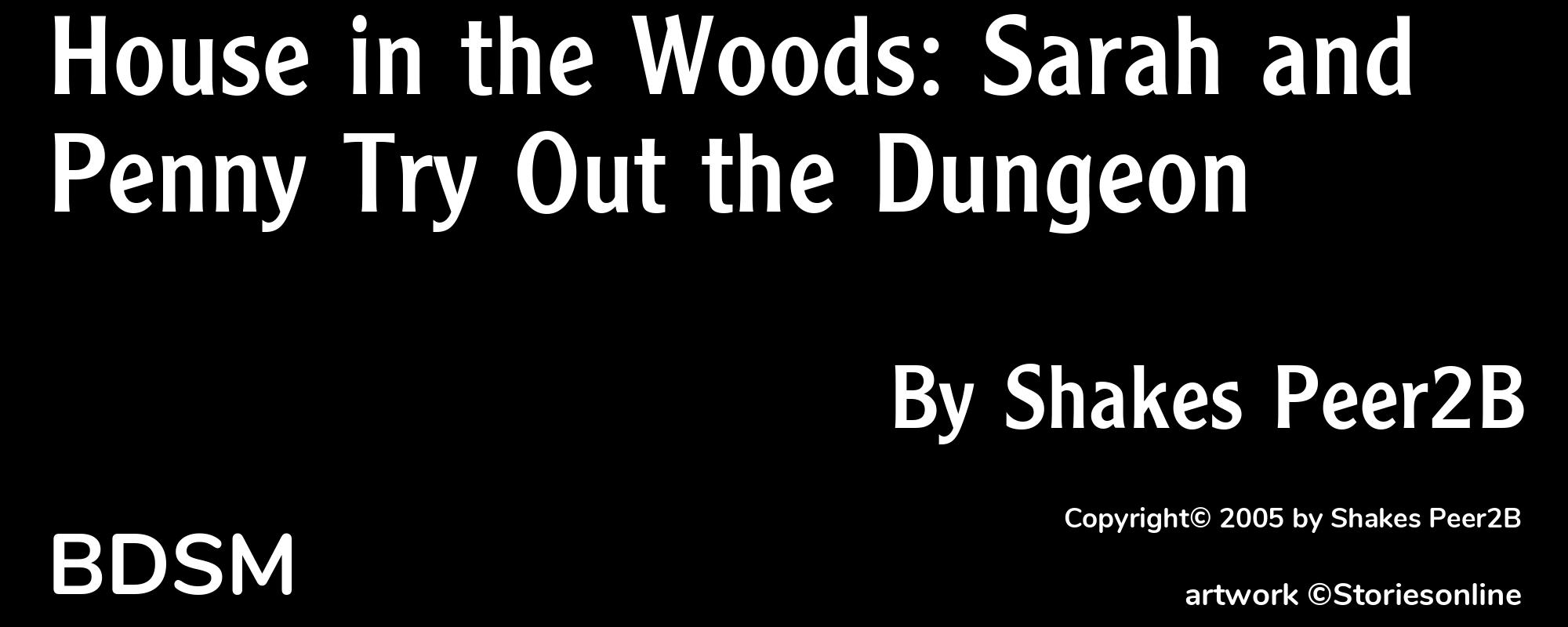 House in the Woods: Sarah and Penny Try Out the Dungeon - Cover