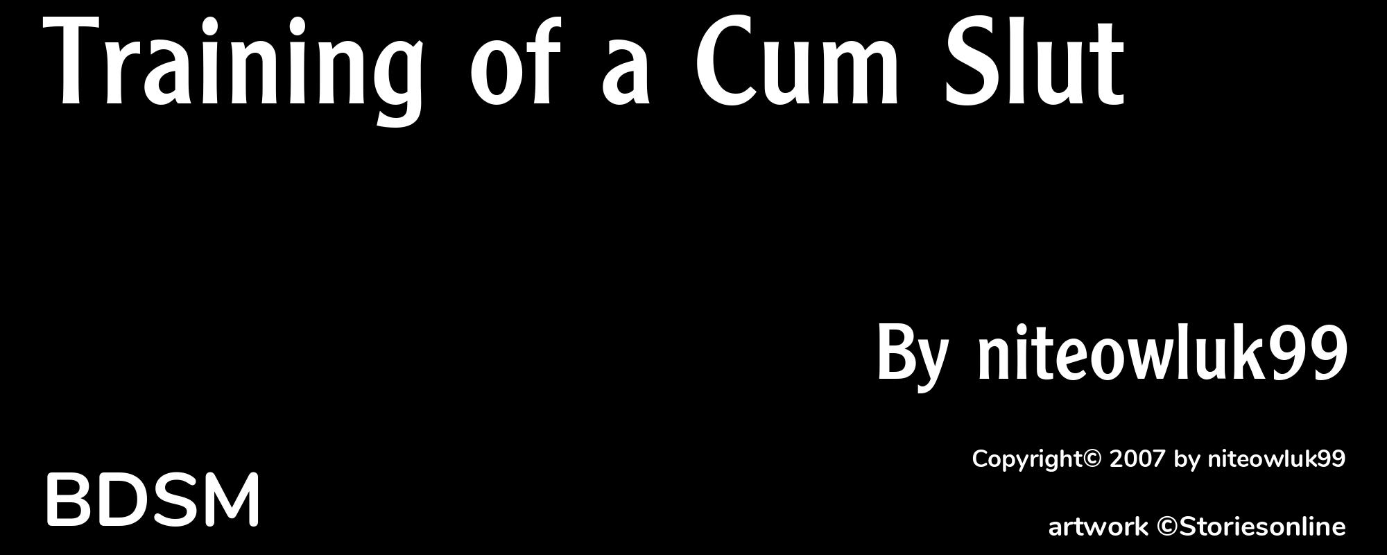 Training of a Cum Slut  - Cover