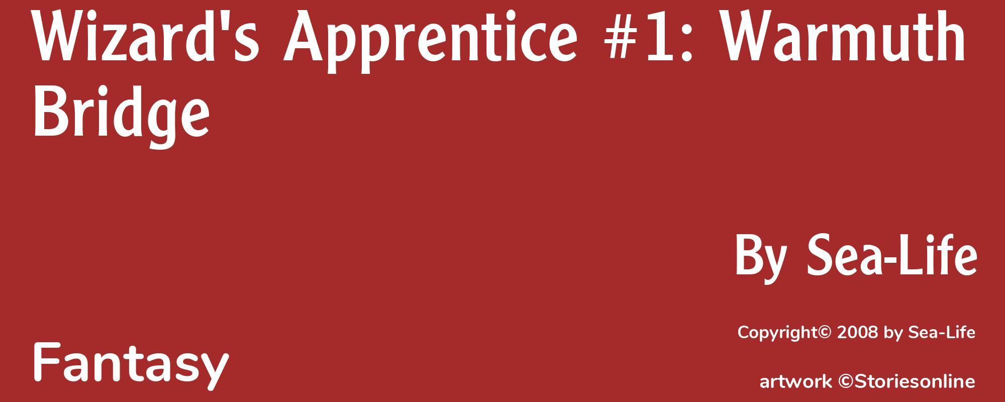 Wizard's Apprentice #1: Warmuth Bridge - Cover
