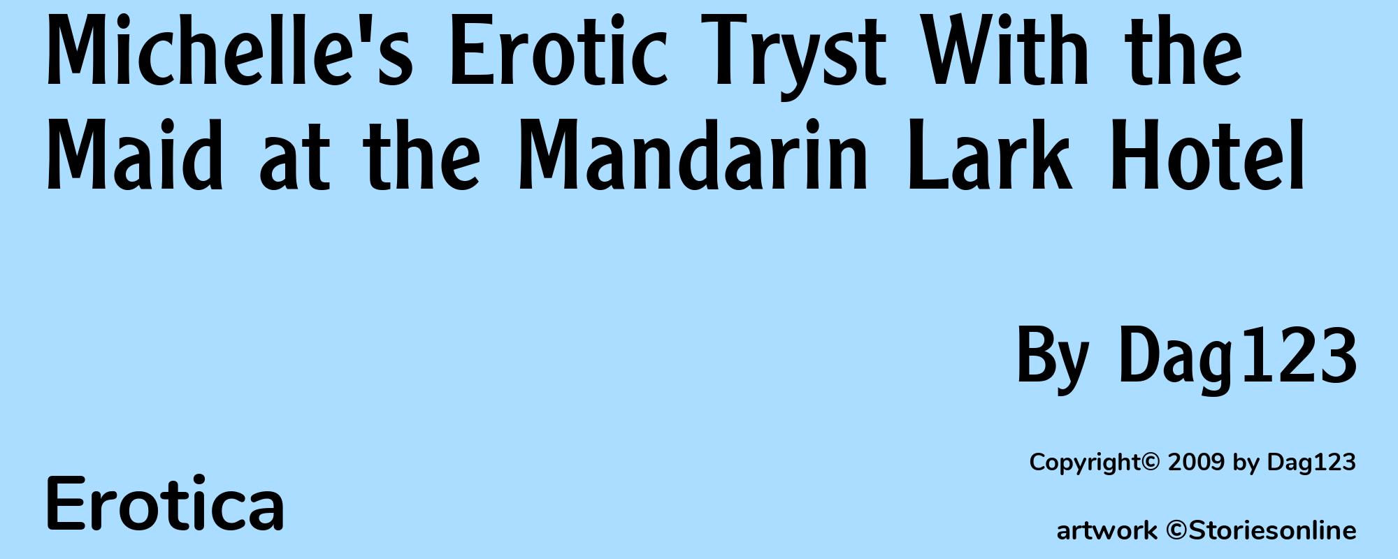 Michelle's Erotic Tryst With the Maid at the Mandarin Lark Hotel - Cover