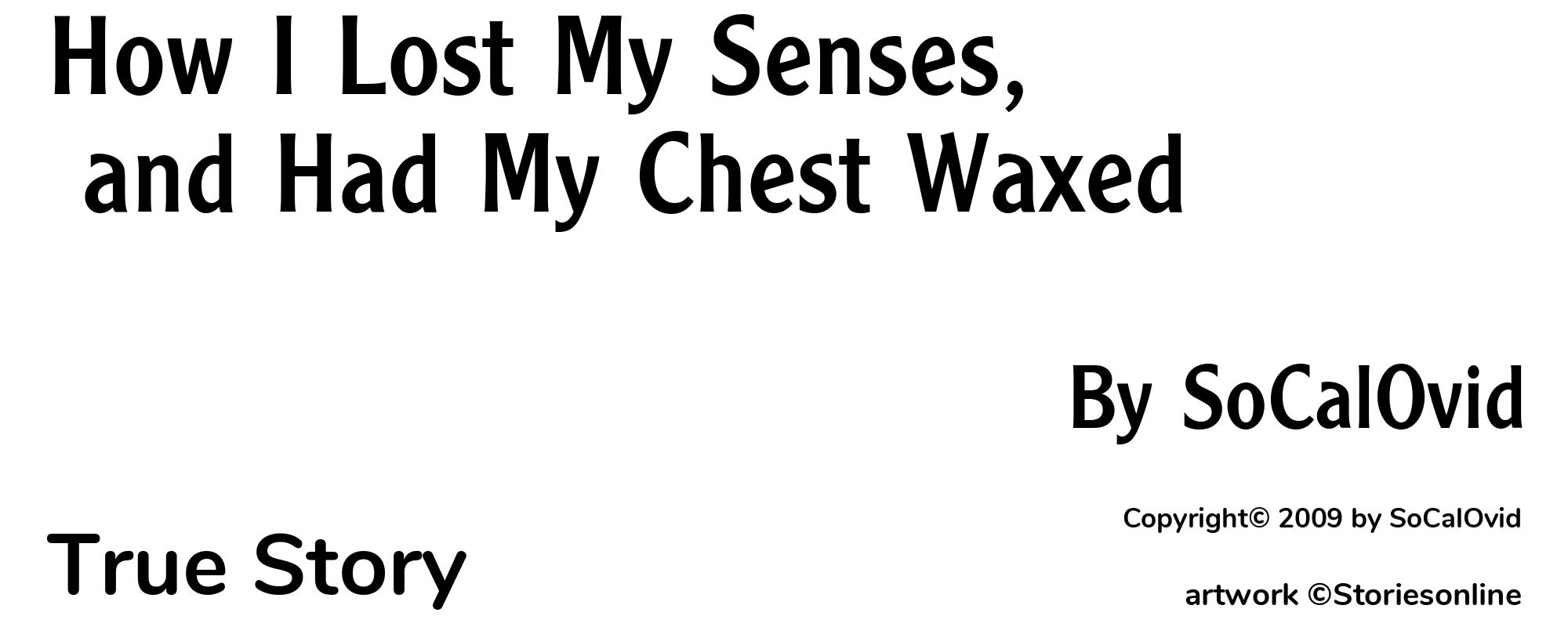 How I Lost My Senses, and Had My Chest Waxed - Cover