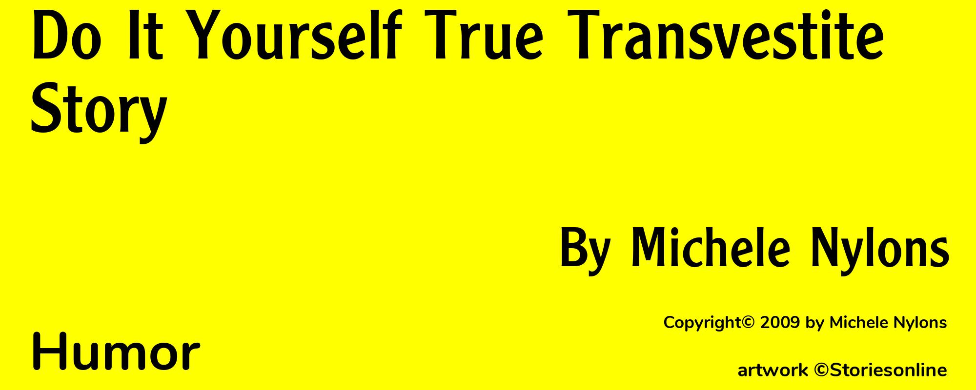 Do It Yourself True Transvestite Story - Cover