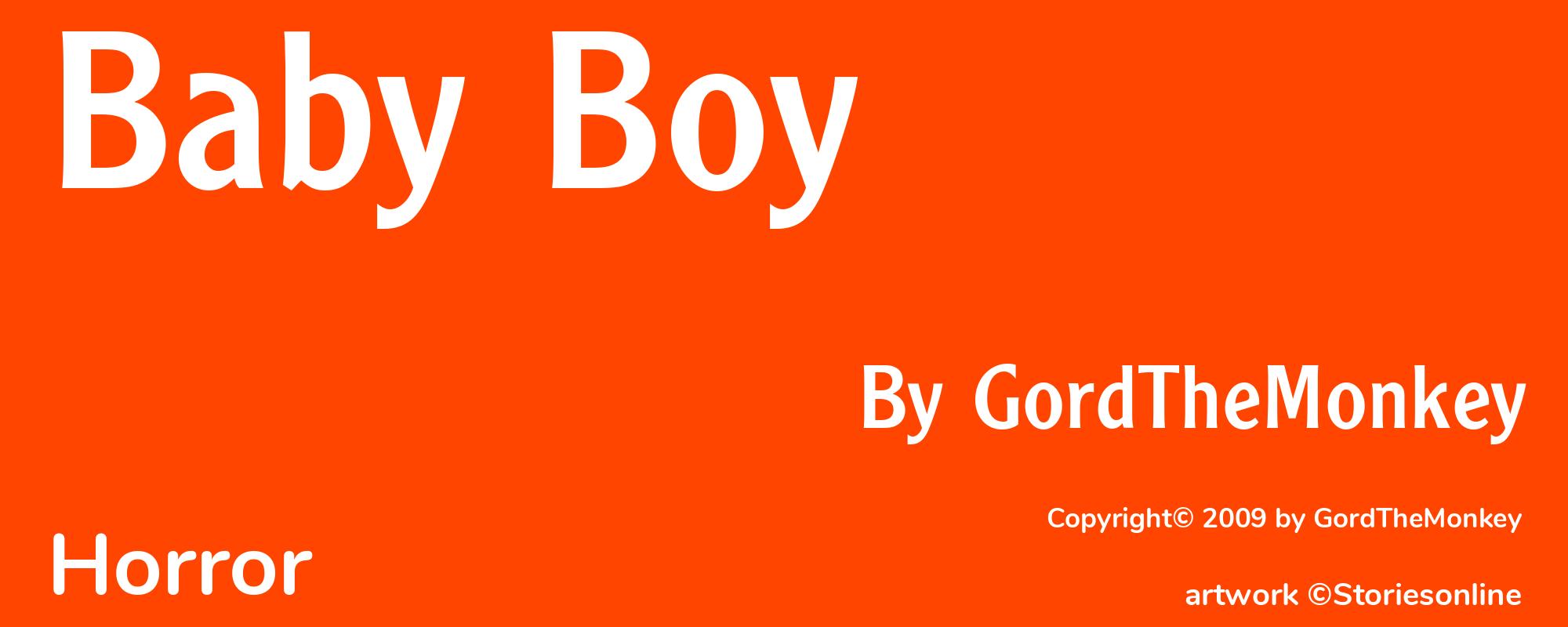 Baby Boy - Cover