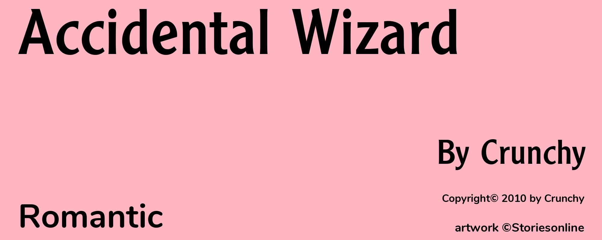 Accidental Wizard - Cover