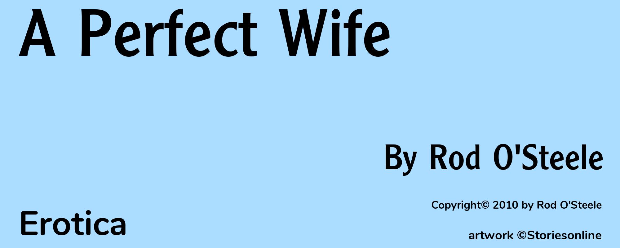 A Perfect Wife - Cover