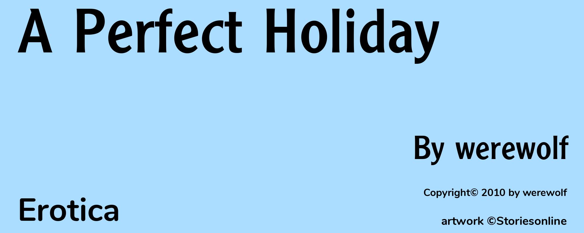 A Perfect Holiday - Cover