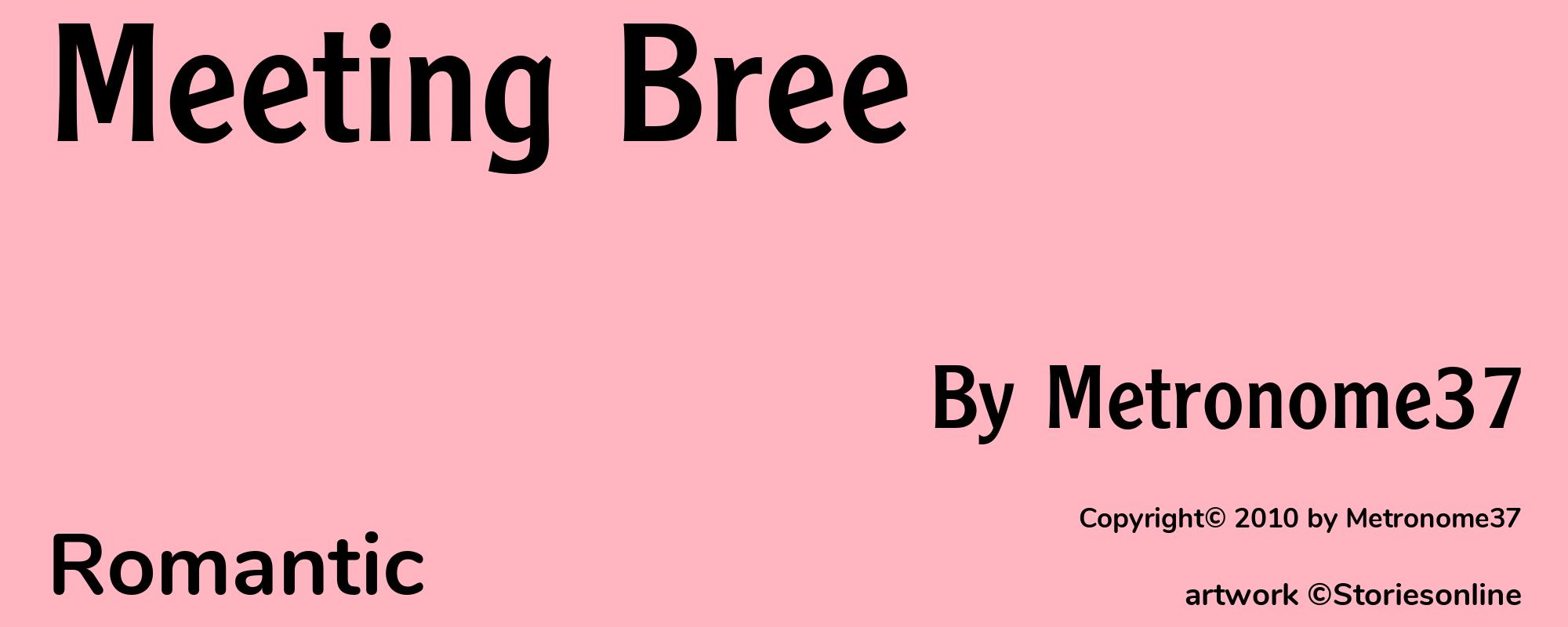Meeting Bree - Cover