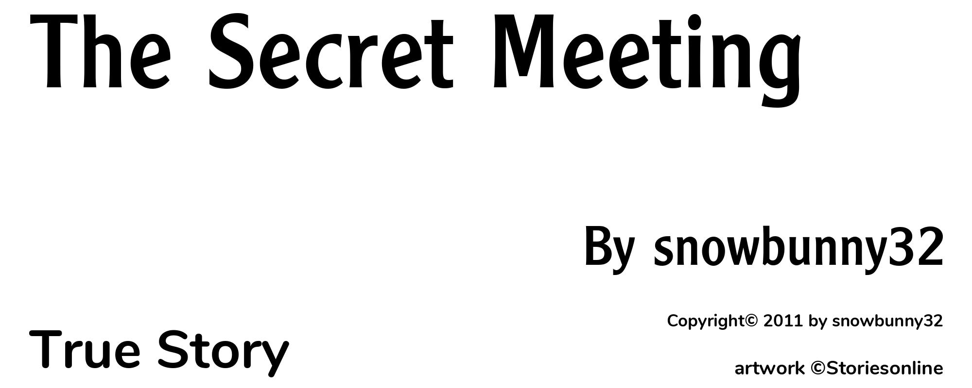 The Secret Meeting - Cover