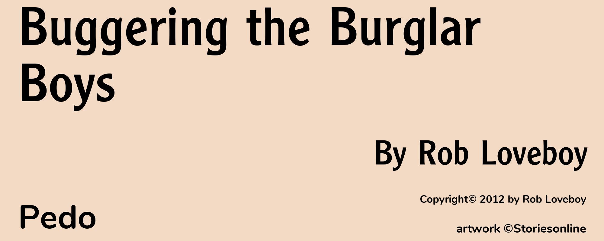 Buggering the Burglar Boys - Cover