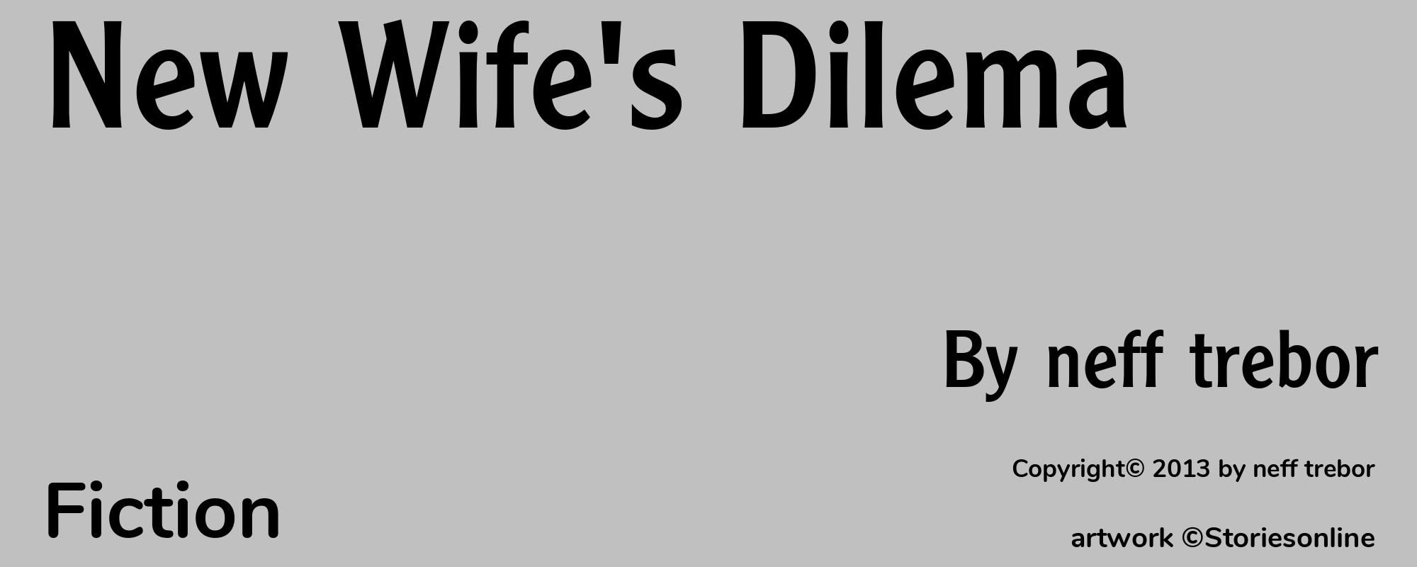 New Wife's Dilema - Cover