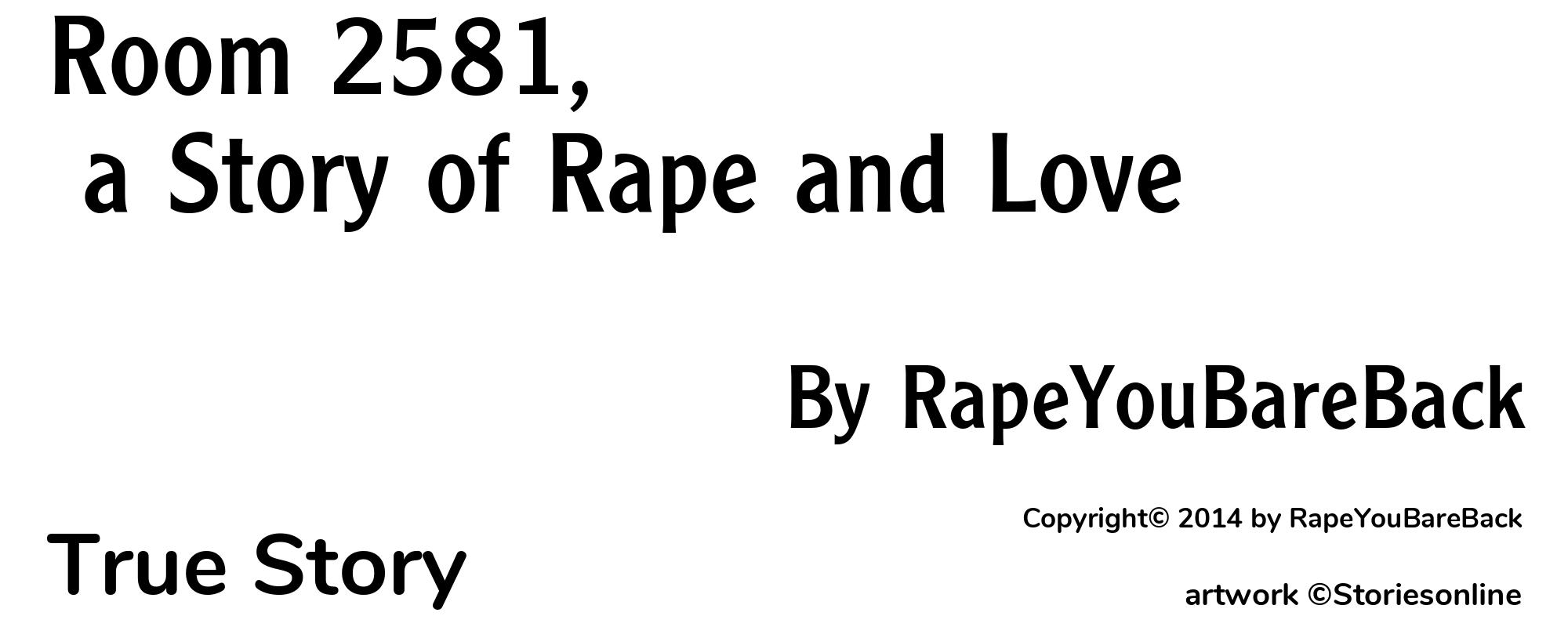 Room 2581, a Story of Rape and Love - Cover