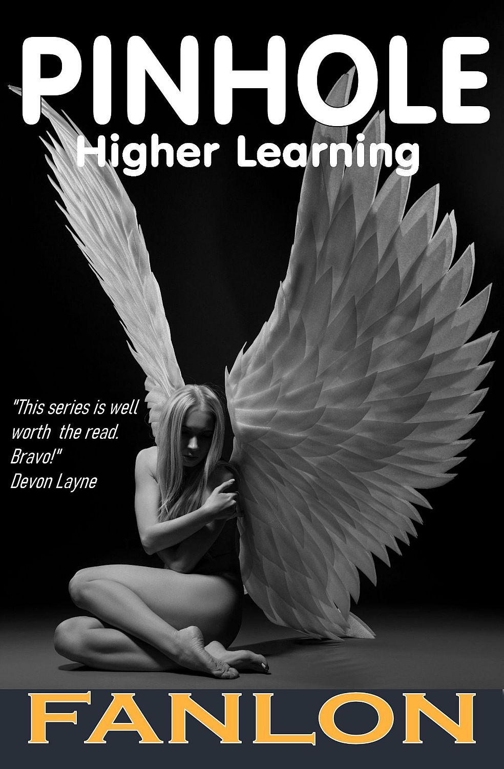 Pinhole, Higher Learning - Cover