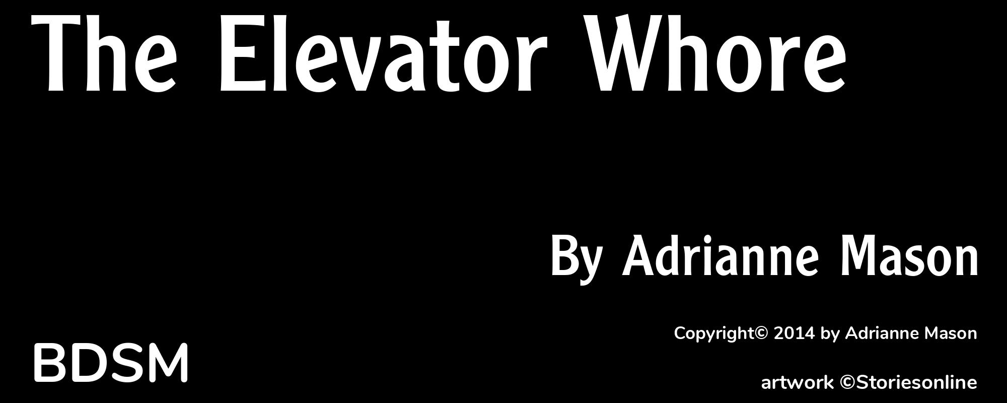 The Elevator Whore - Cover