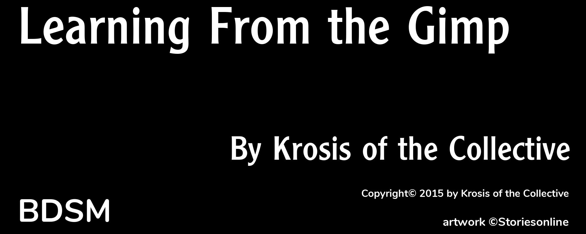 Learning From the Gimp - Cover