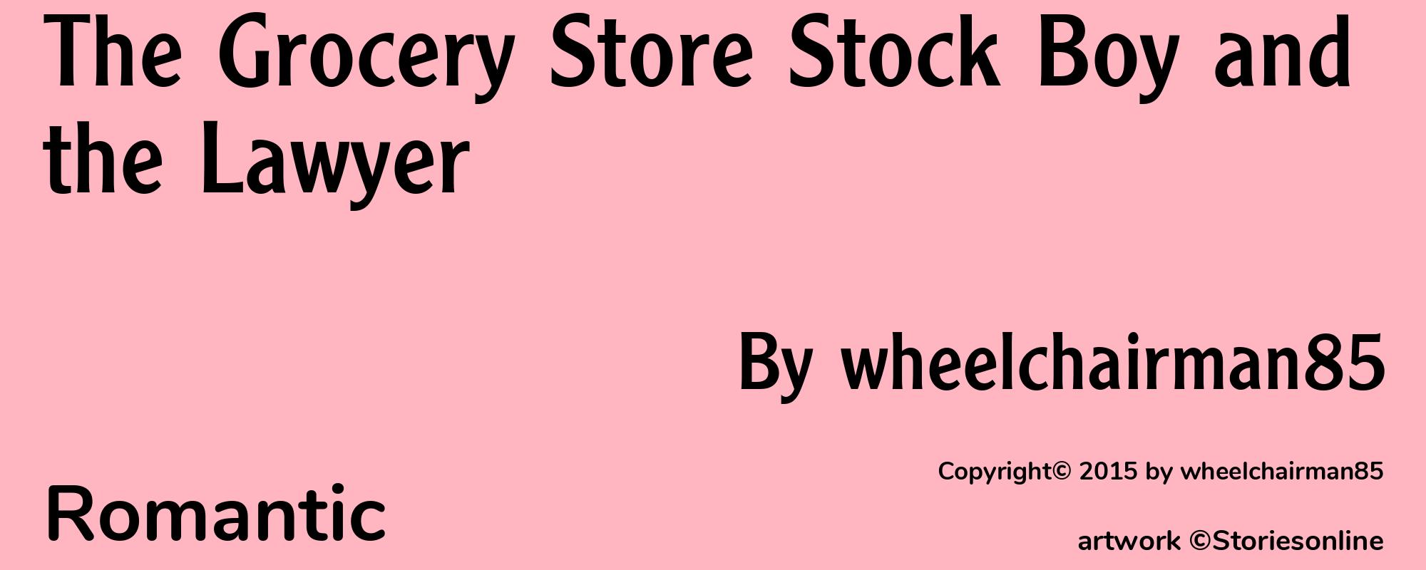 The Grocery Store Stock Boy and the Lawyer - Cover