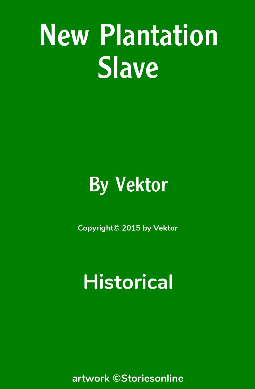 New Plantation Slave - Historical Sex Story