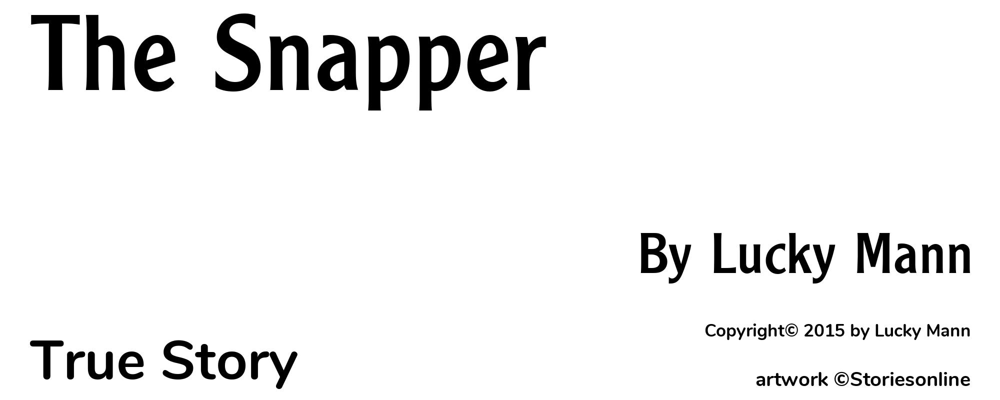 The Snapper - Cover