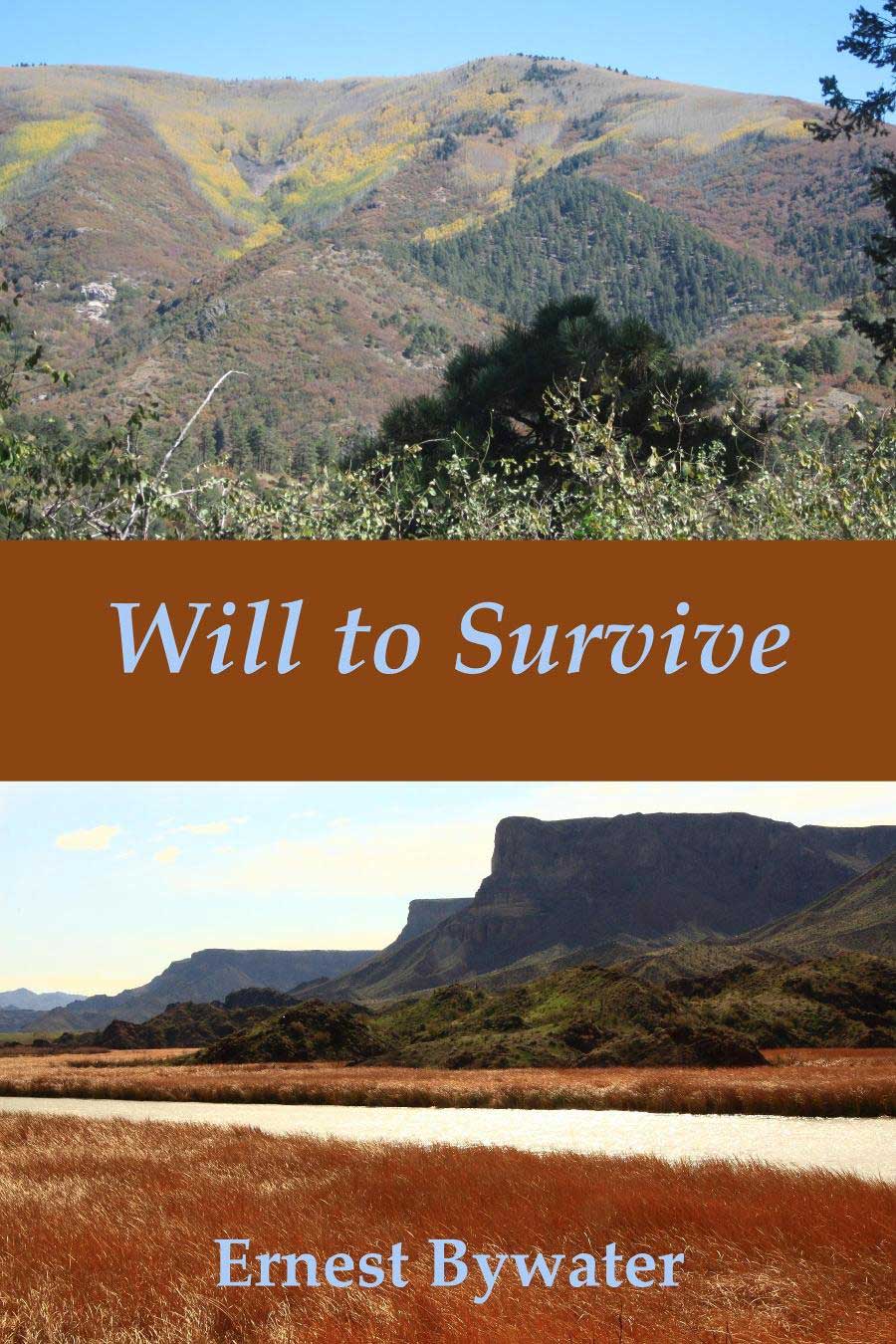 Will to Survive - Cover