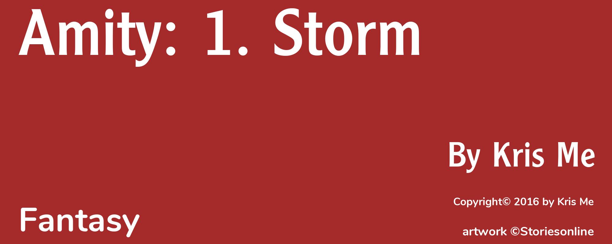 Amity: 1. Storm - Cover