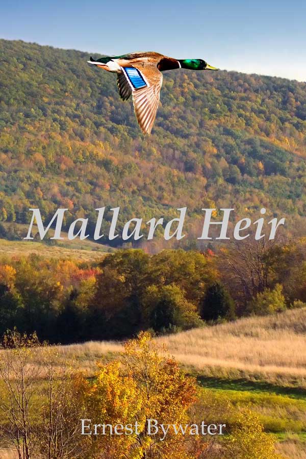 Mallard Heir - Cover