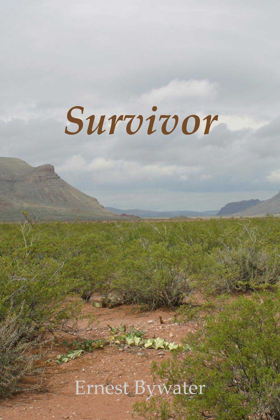 Survivor - Cover