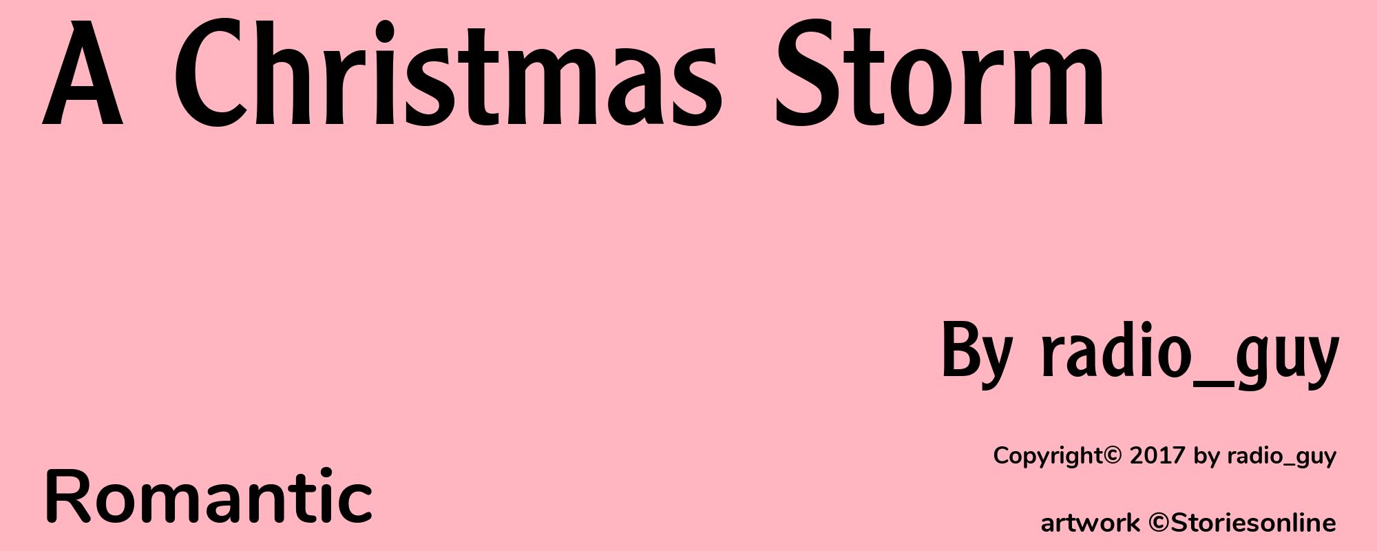 A Christmas Storm - Cover