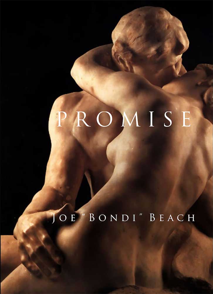 Promise - Cover