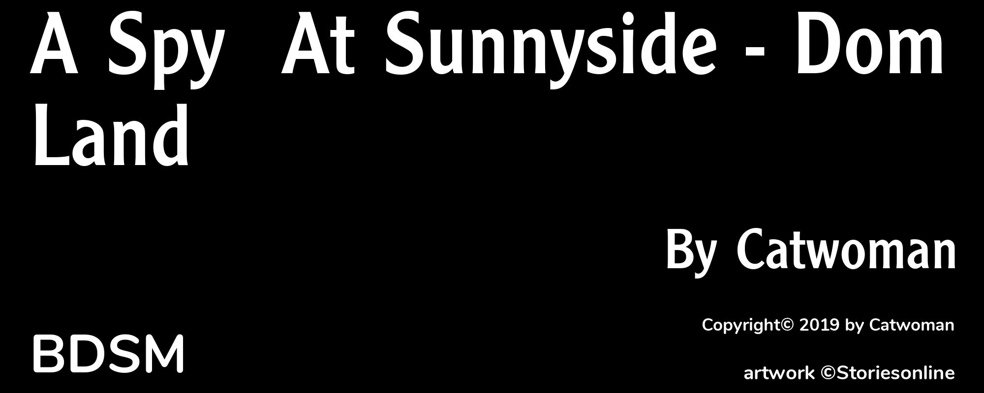 A Spy  At Sunnyside - Dom Land - Cover