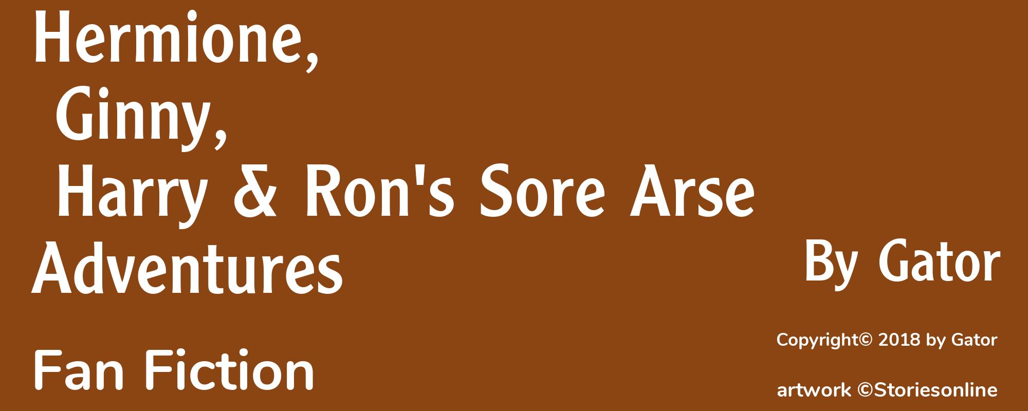Hermione, Ginny, Harry & Ron's Sore Arse Adventures - Cover